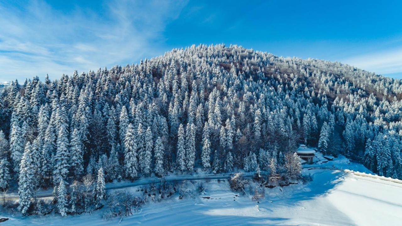 Hotel Sport, Resort Mavrovo Exterior photo